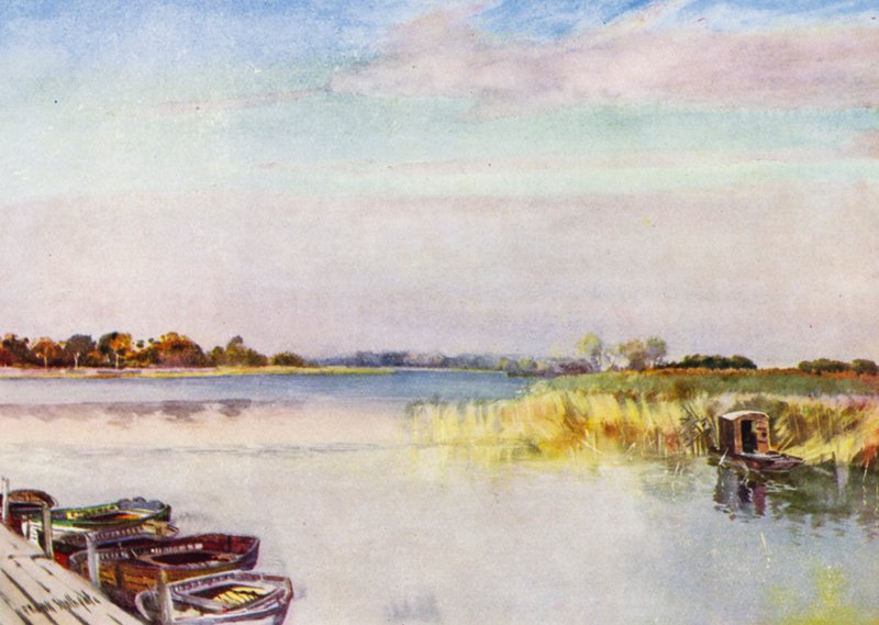 Norfolk Broads: Ormesby Broad, ősz (színes litho) alkotó: Frank Southgate