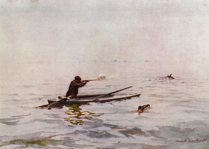 Norfolk Broads: Punt-Gunning on Breydon (színes litho) alkotó: Frank Southgate