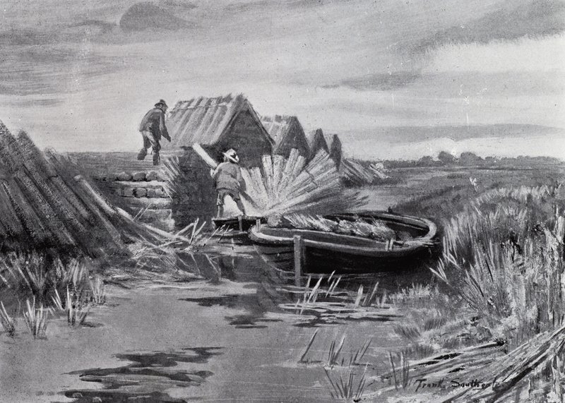 Norfolk Broads: Reed Stacking (litho) alkotó: Frank Southgate
