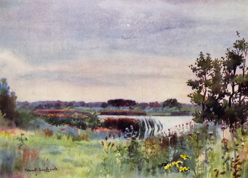 Norfolk Broads: Salhouse Great Broad (színes litho) alkotó: Frank Southgate