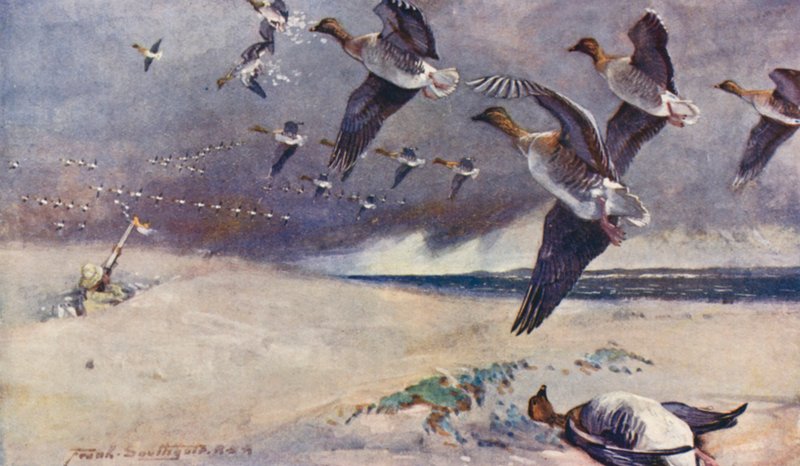 Wild Life in East Anglia: Wild-Goose Shooting (színes litográfia) alkotó: Frank Southgate