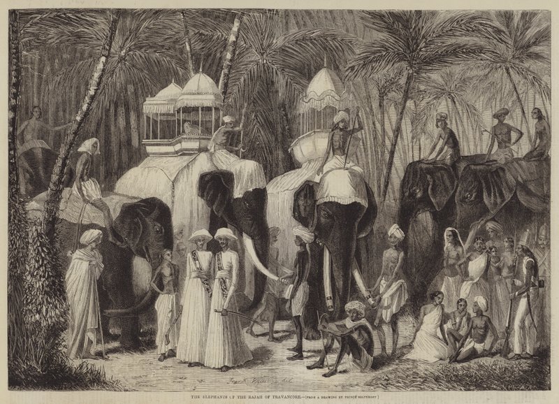 Travancore Rajah elefántjai alkotó: Frank Vizetelly