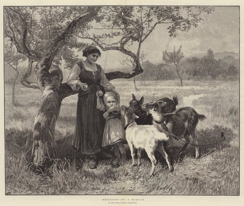 Ostromlott alkotó: Frederick Morgan