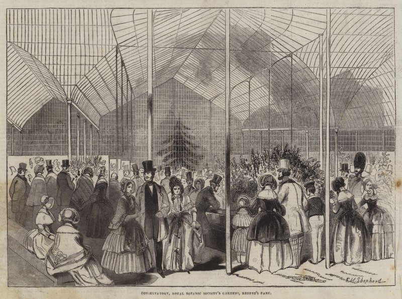 Konzervatórium, Royal Botanic Society