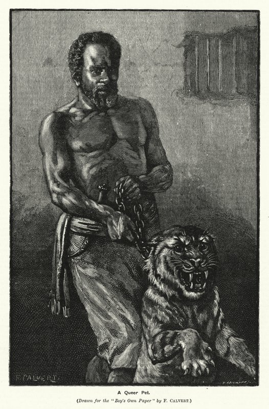Egy furcsa kisállat (metszet) alkotó: Frederick (after) Calvert