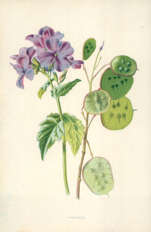 Őszinteség alkotó: Frederick Edward Hulme