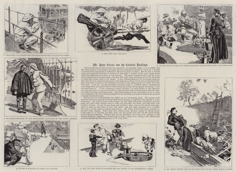 Mr Pease Greene és az égi kiskacsák (metszet) alkotó: Frederick Henry Townsend