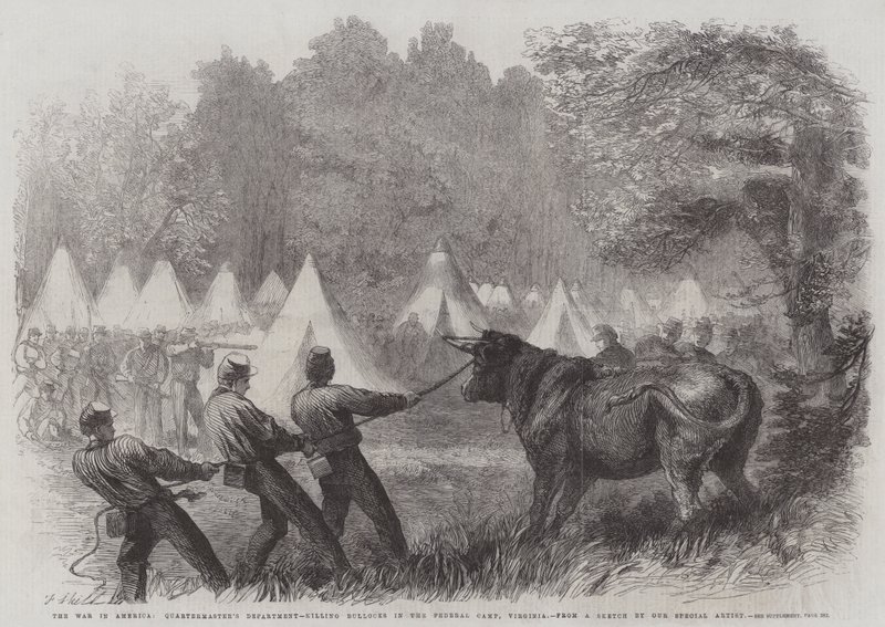 The War in America, Quartermaster