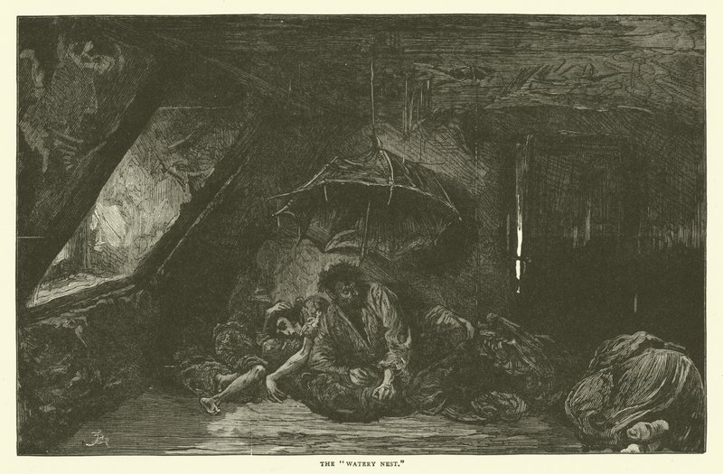 A vizes fészek alkotó: Frederick L. Bernard