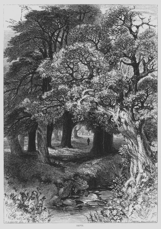 John Milton, A töprengő (metszet) alkotó: Frederick William Hulme