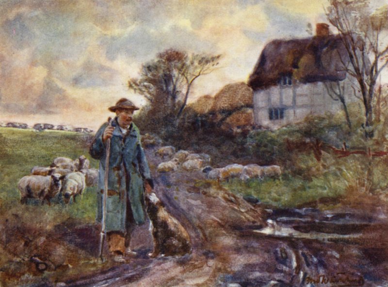 Koldusseprű alkotó: Frederick William Newton Whitehead