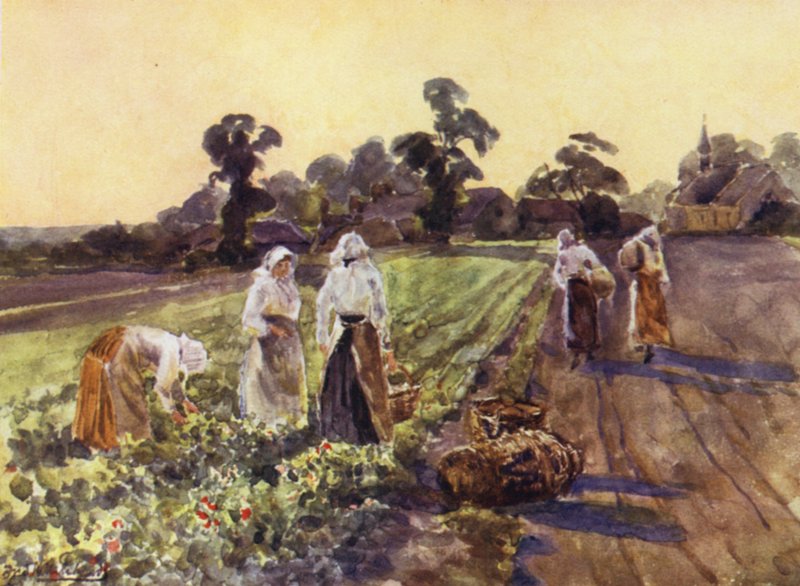 Exhall elkerülése alkotó: Frederick William Newton Whitehead