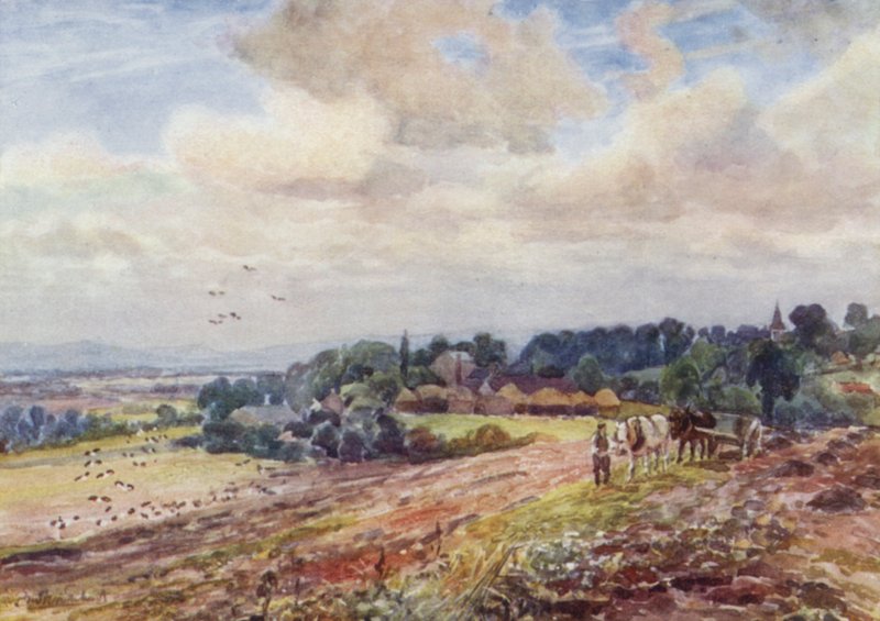 Éhes Grafton alkotó: Frederick William Newton Whitehead