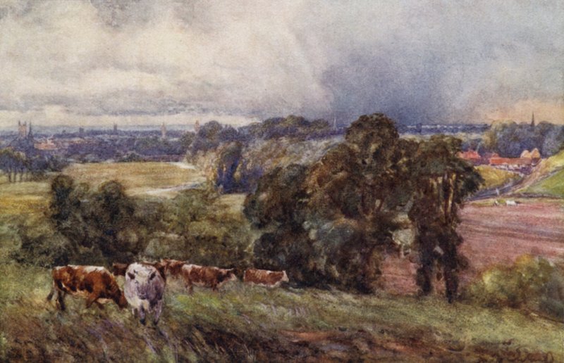 Leamington és Warwick a Campion Hillsből alkotó: Frederick William Newton Whitehead