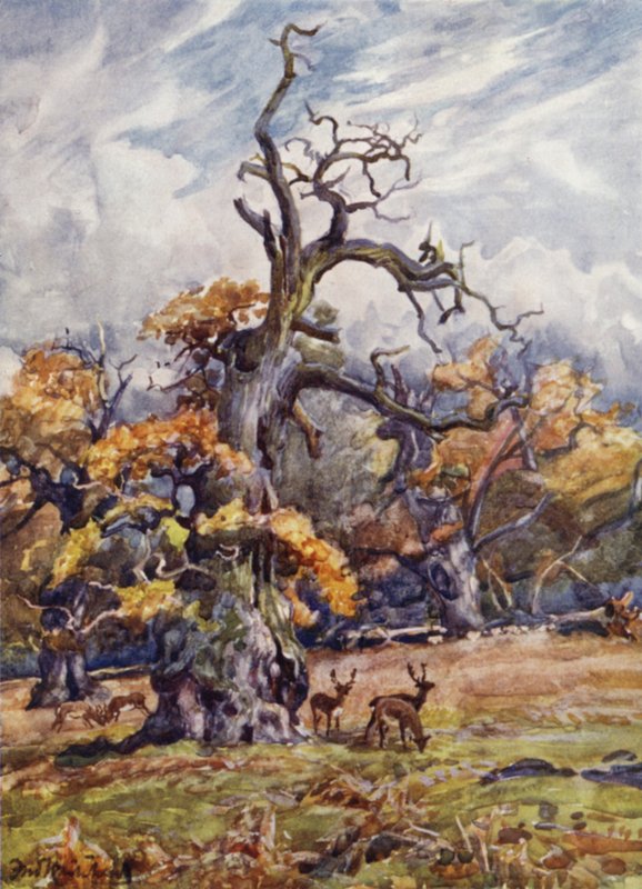 Packington Park alkotó: Frederick William Newton Whitehead