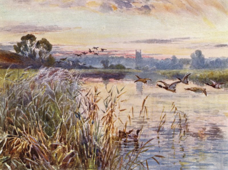 Salford Priors alkotó: Frederick William Newton Whitehead