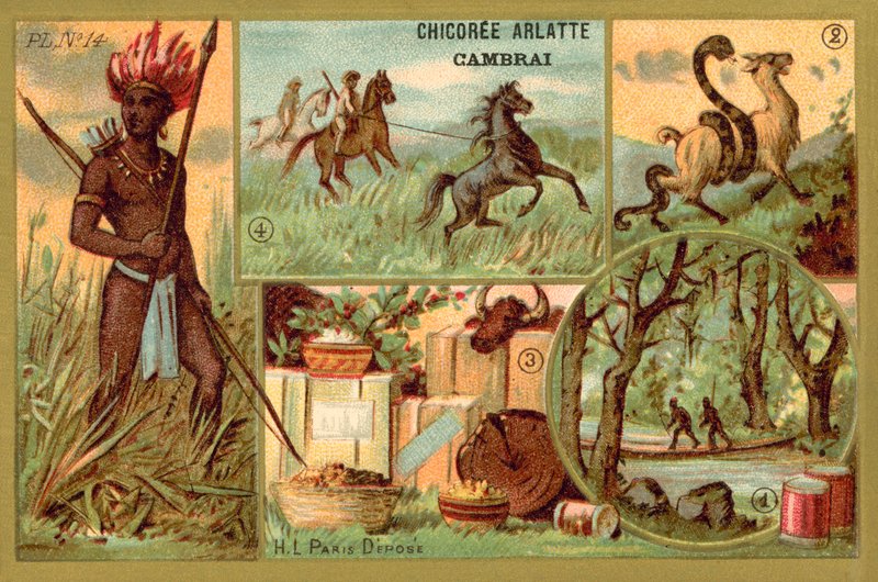 Dél Amerika alkotó: French School
