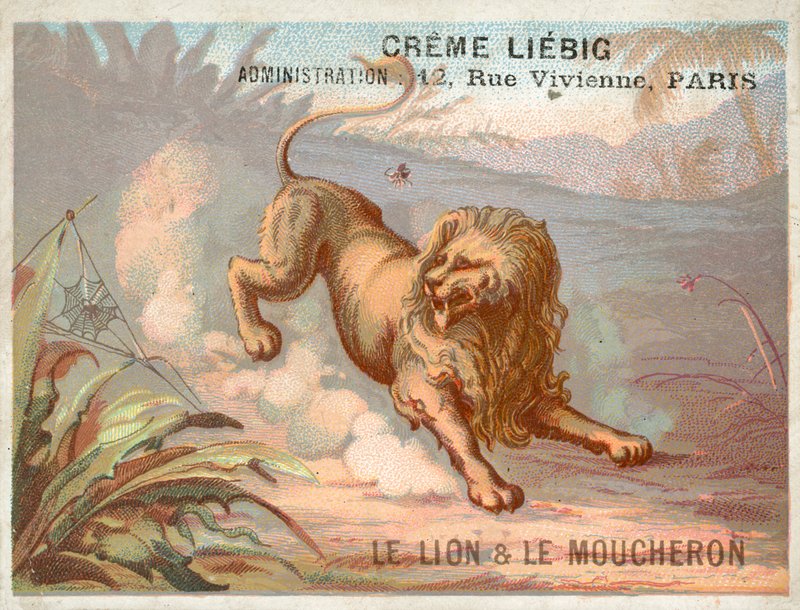 Az oroszlán és a szúnyog alkotó: French School