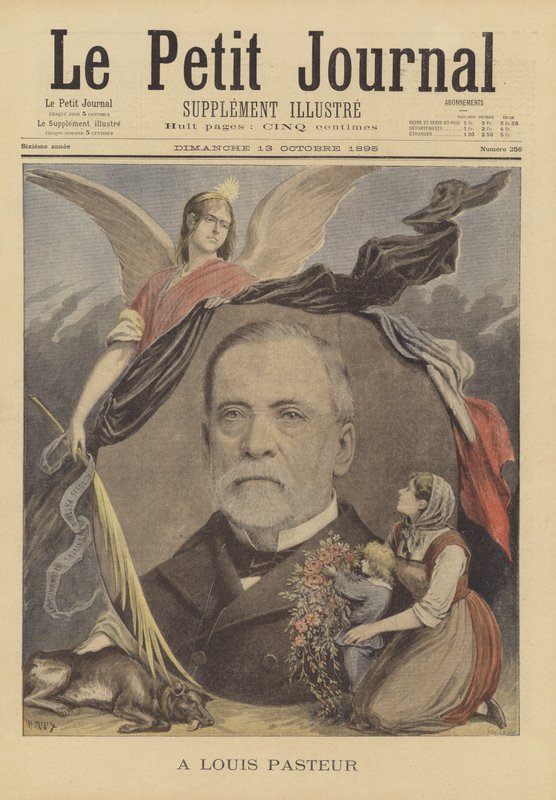 Louis Pasteurnek alkotó: French School