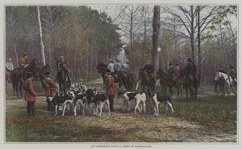 Keresztút a Foret de Rambouillet-ban, Franciaország (színes fotó) alkotó: French Photographer