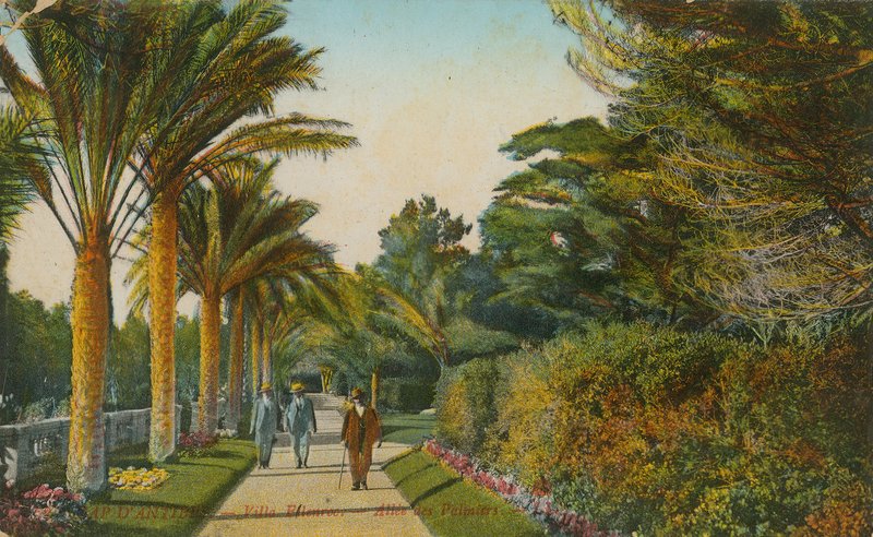 Pálmák sikátora, Villa Eilenroc kertjei, Cap dAntibes, Franciaország. 1913-ban feladott képeslap alkotó: French Photographer
