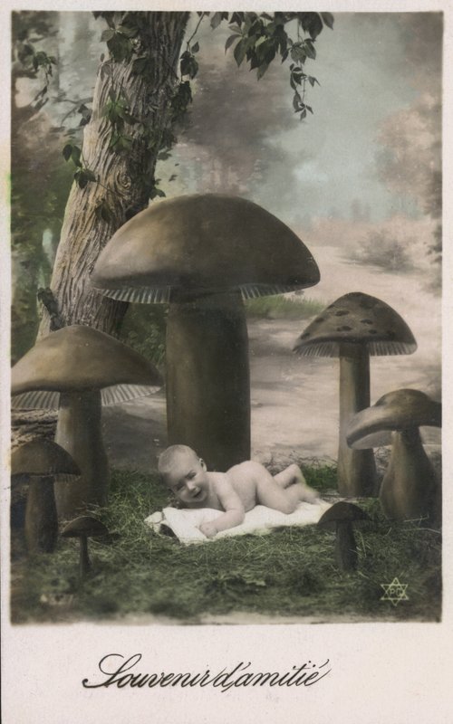 Baba gombás foltban alkotó: French Photographer