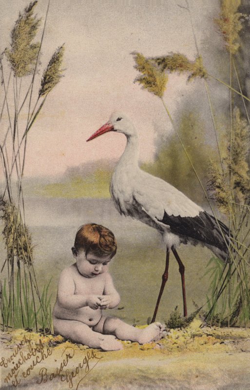 Baba gólyával alkotó: French Photographer