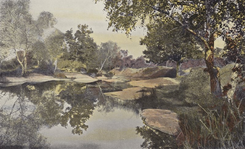 Fontainebleau, Erdő, Mare de Franchard alkotó: French Photographer