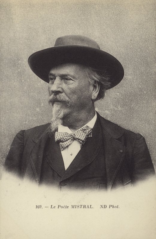 Frederic Mistral (1830-1914), francia költő és az okszitán nyelv lexikográfusa alkotó: French Photographer