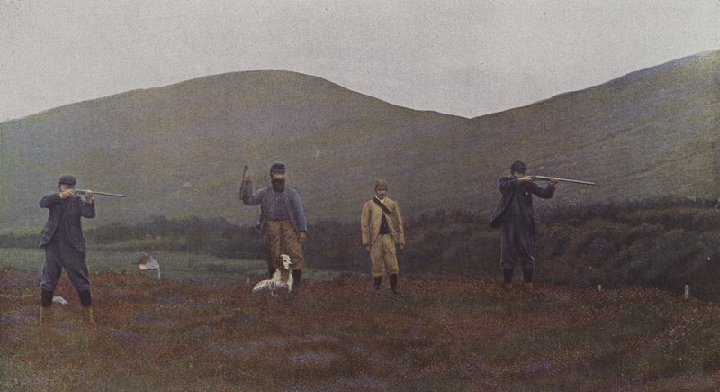 Nyírfajd-lövés Skóciában (színes fotó) alkotó: French Photographer