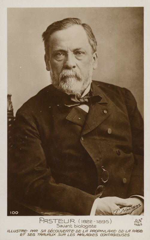 Louis Pasteur (1822-1895), francia kémikus és mikrobiológus alkotó: French Photographer