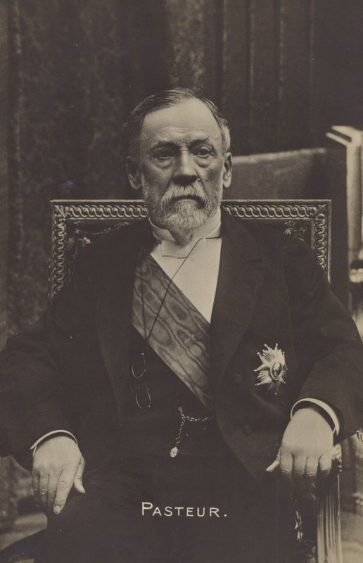 Louis Pasteur (1822-1895), francia kémikus és mikrobiológus alkotó: French Photographer