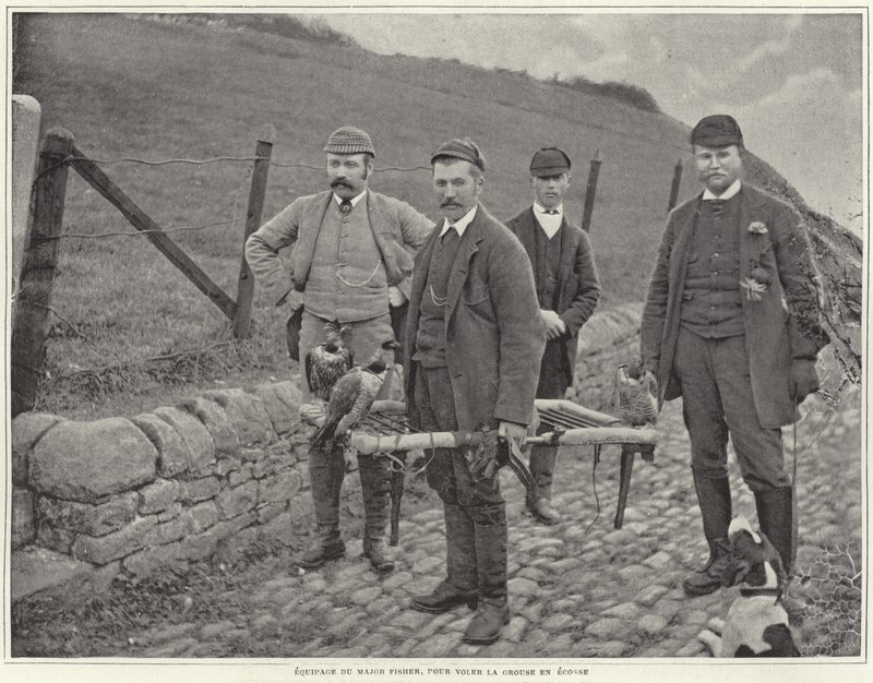 Fisher őrnagy fajdfajdra vadászik Skóciában alkotó: French Photographer