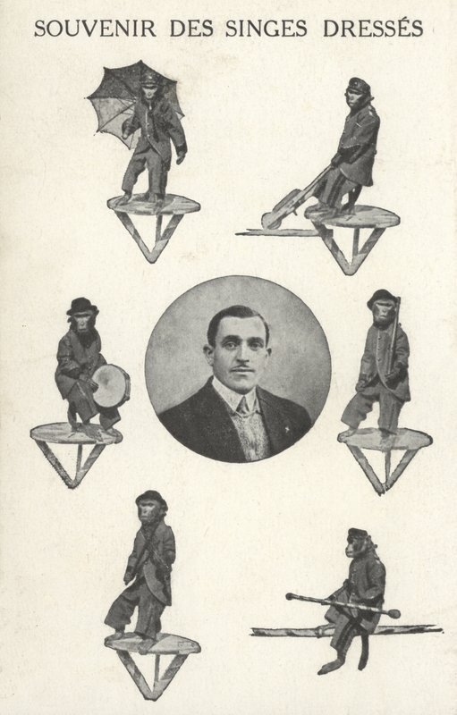 Majmok jelmezben alkotó: French Photographer