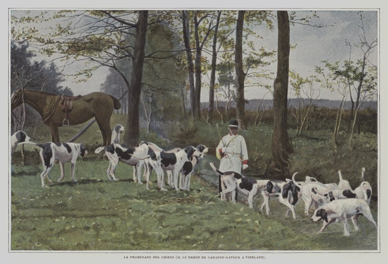 Baron de Carayon-Latour vadászkutyái a franciaországi Virelade-ban (színes fotó) alkotó: French Photographer