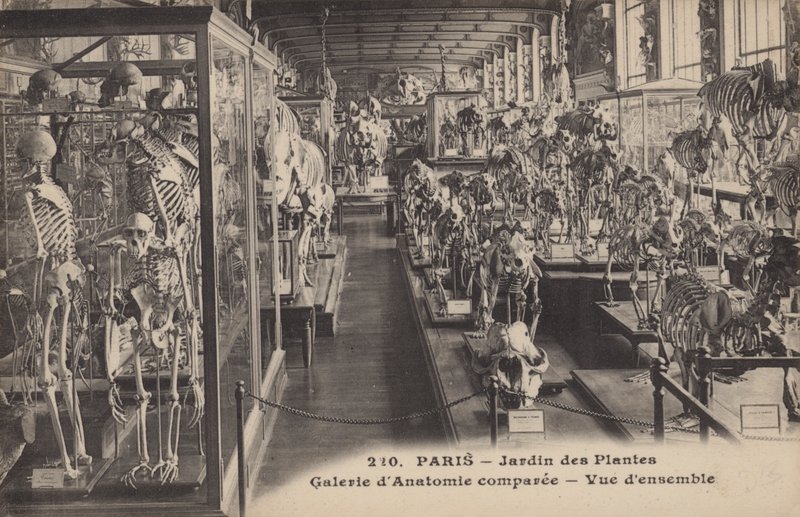 Párizs, Jardin Des Plantes alkotó: French Photographer