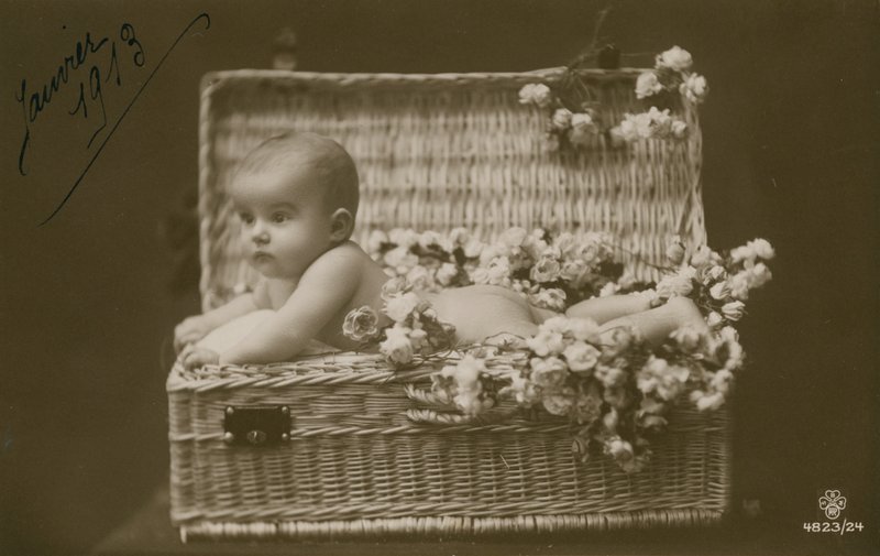 Egy csecsemő képeslapja fonott kosárban virágokkal, 1913 januárjában küldve alkotó: French Photographer