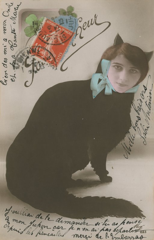 Képeslap egy női arcú macskáról, 1913-ban alkotó: French Photographer