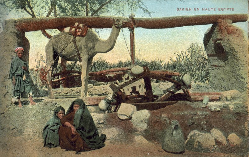 Szakia, Felső-Egyiptom (színes fotó) alkotó: French Photographer