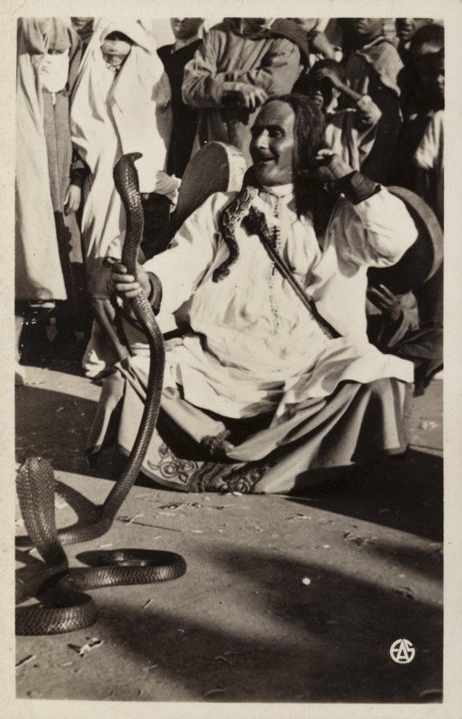 Észak-Afrika jelenetei: Kígyóbűvölő a piacokon alkotó: French Photographer