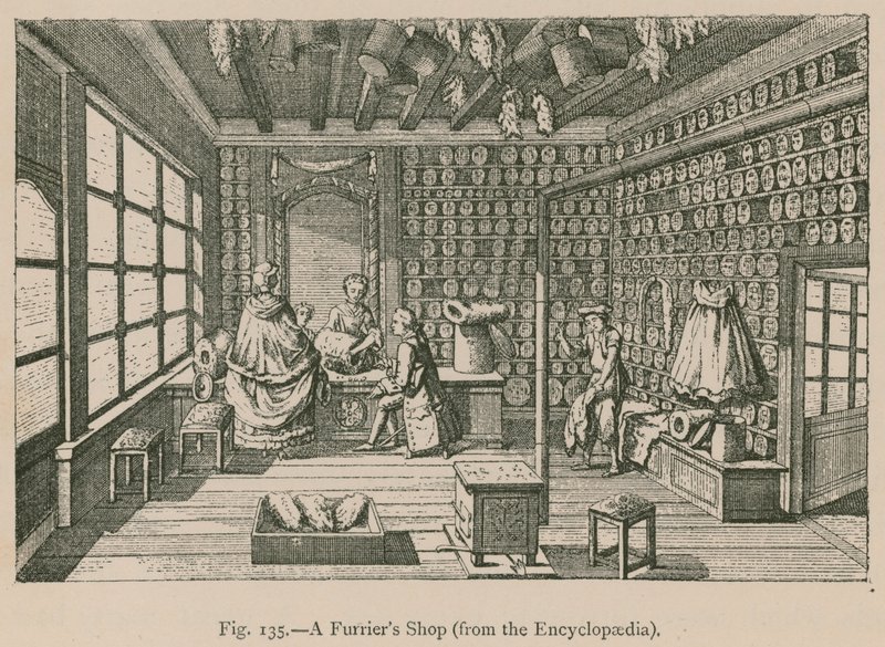 Furriers Shop (az Encyclopaediából) alkotó: French School