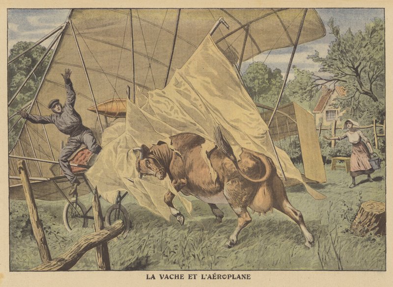 Repülőgépet támadó tehén az amerikai középnyugaton (színes litho) alkotó: French School