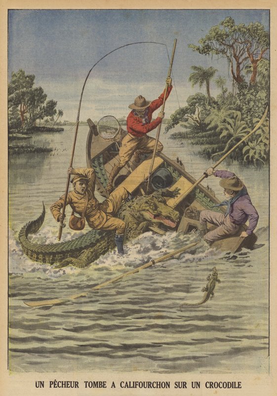 Egy horgász egy krokodilra zuhan, miután az felborította a csónakját (színes litho) alkotó: French School