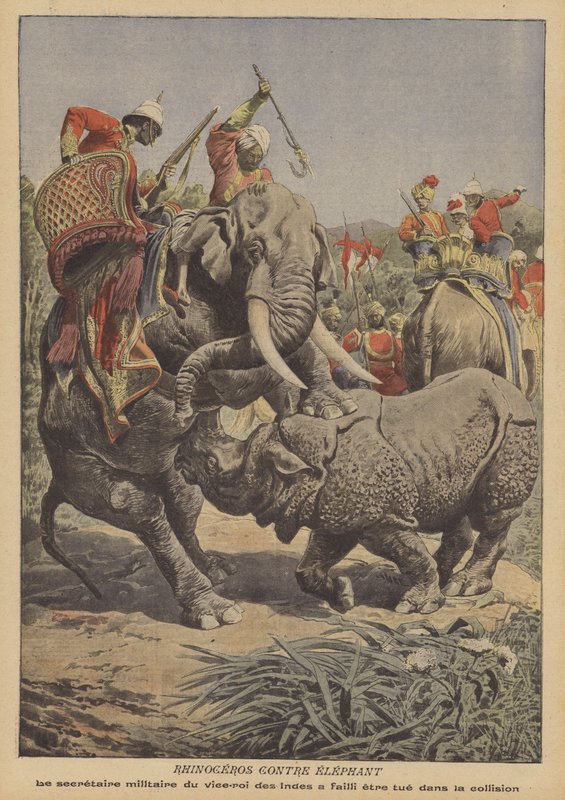 Orrszarvú megtámad egy elefánt Indiában (színes litho) alkotó: French School