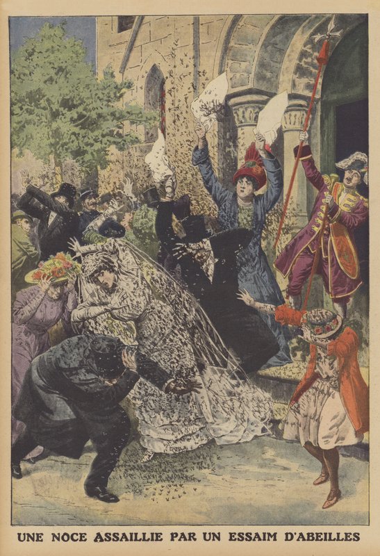 Egy esküvő, amelyet egy méhraj támadott meg (színes litho) alkotó: French School