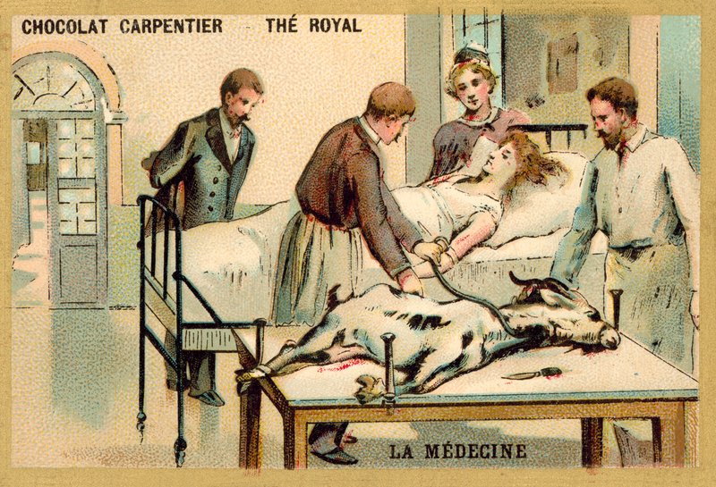 Egy nő, aki kecskétől vérátömlesztést kap (chromolitho) alkotó: French School