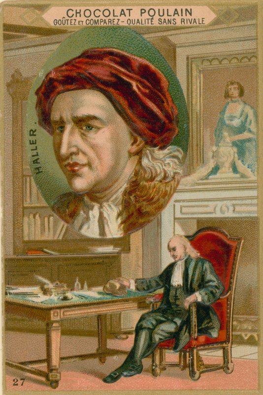 Albert von Haller alkotó: French School