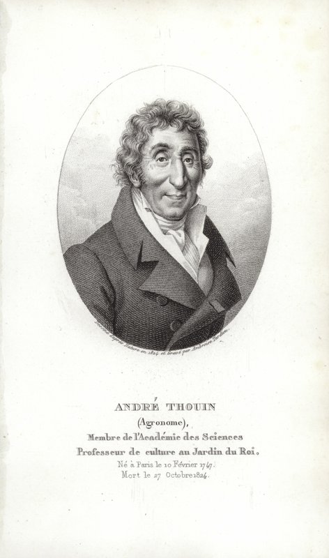 André Thouin alkotó: French School
