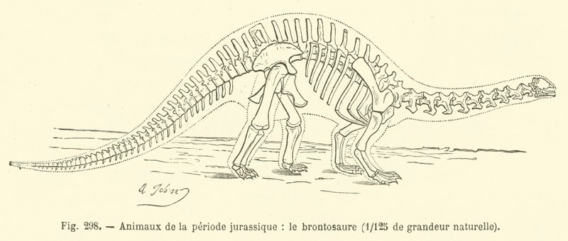 A jura időszak állatai, a Brontosaurus (metszet) alkotó: French School