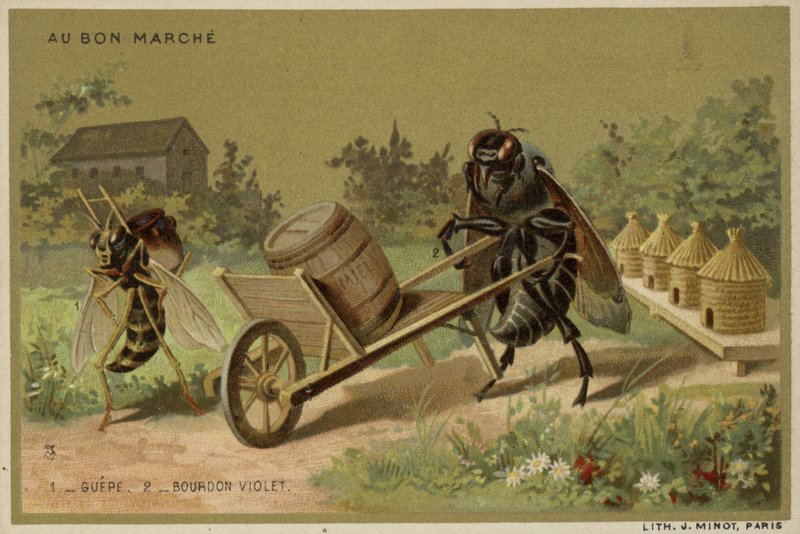 Au Bon Marche kártyák antropomorf rovarokkal alkotó: French School